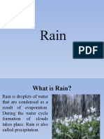 What is Rain? The Water Cycle and Types of Precipitation Explained