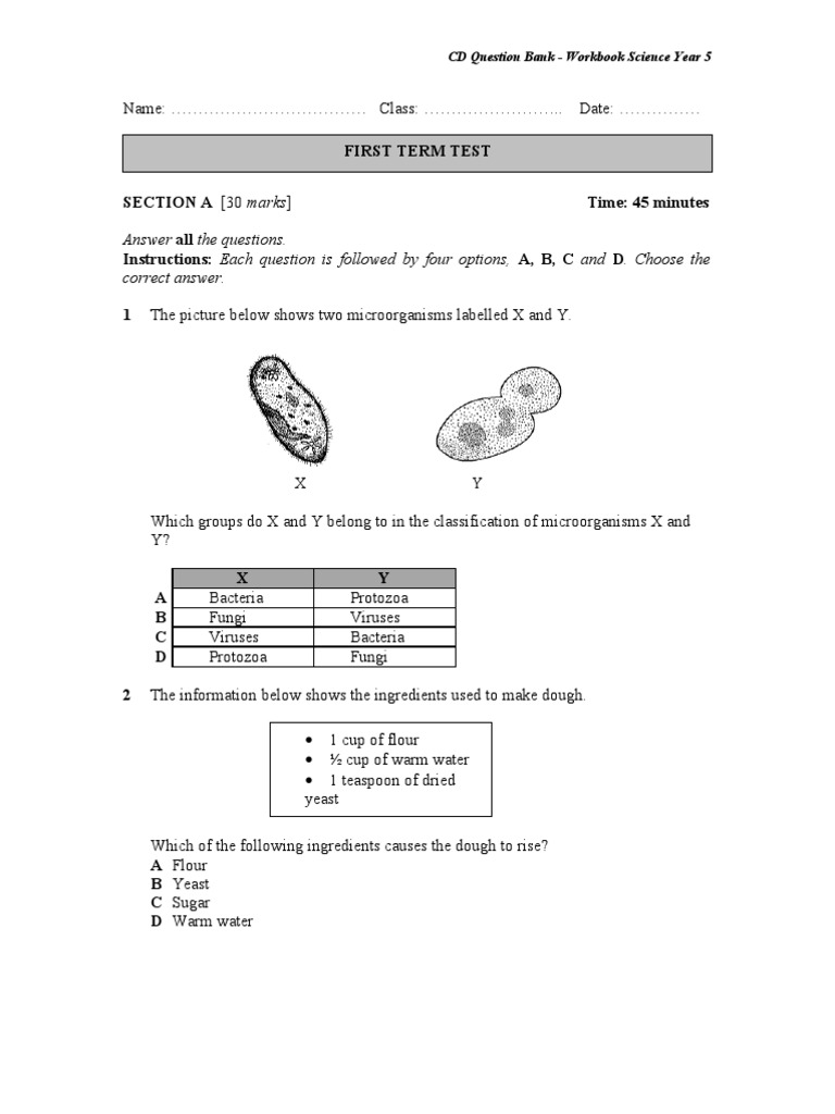 Science Year 5 Workbook Q&A Guide | PDF | Light | Microorganism