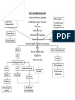 Patway Tuberkulosis Paru