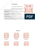 Cuadrantes Quirúrgicos