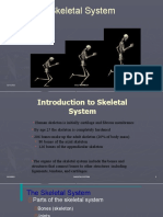 LESSON 5 Skeletal System 20 21