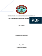 Mahmud - Determinants of Agricultural Productivity and Off Farm Household Income in Rural Ethiopia, MSC Thesis