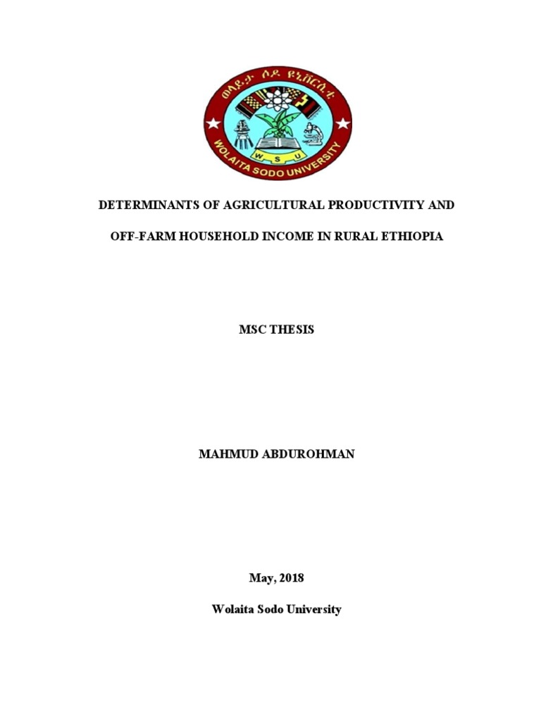 msc thesis on off farm activities in rural ethiopia