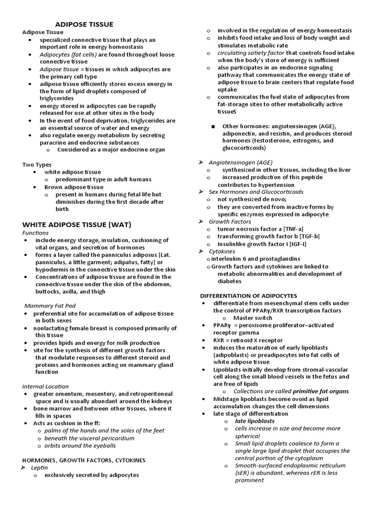 Adipose Tissue: Differentiation of Adipocytes | PDF | Adipose Tissue ...