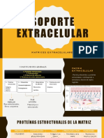 Soporte Extracelular-Parcial