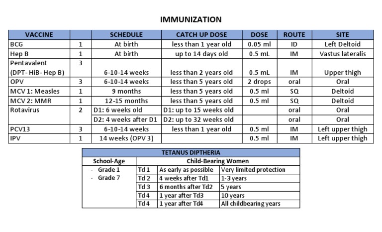 Comprehensive Immunization Schedule Guide | PDF | Lifestyle
