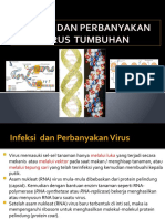 Infeksi & Perbanyakan Virus.