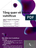 NHÃ“M 4 Vibrio Vulnificus Final
