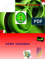 Hama Tanaman