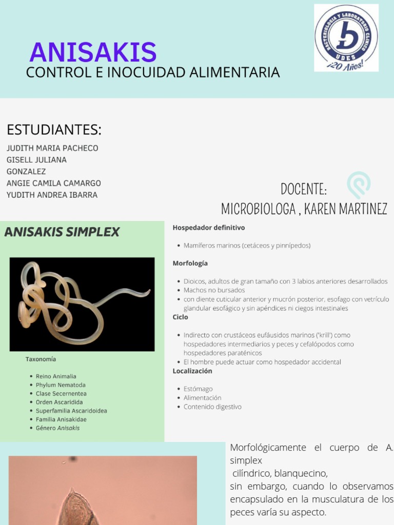 Anisakis Expo Final | PDF | Alergia | Especialidades Medicas