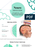 Neuroinfección