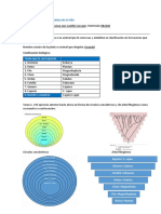 Tarea 1.1 Clasificación de Los Seres Vivos