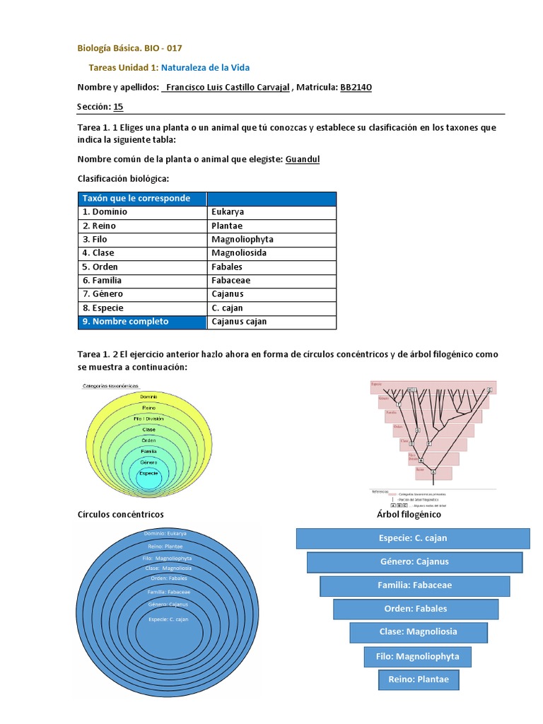 Glaucófitas (Filo Glaucophyta) · BioDiversity4All, image size:768x1024