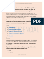 Anemia: causas, síntomas y tipos