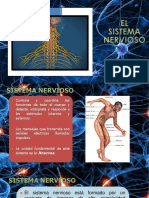 Generalidades Del Sistema Nervioso 2-2