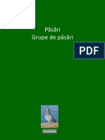 Grupe de Pasari