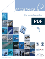 CMS DolphinManual Portuguese Internet