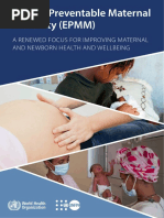 Ending Preventable Maternal Mortality Epmm Brief 230921