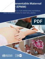 Ending Preventable Maternal Mortality Epmm Brief 230921