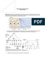 Eritrocitos Guia de Estudio