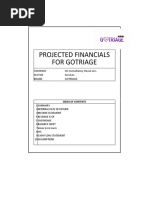 Fund Raising Financials 2020 (Updated)