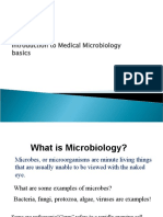 Basics: Introduction To Medical Microbiology