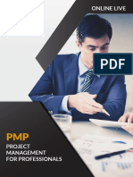 PMP Brochure Temario ONLINE LIVE