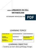 Kuliah Patologi Gangguan Metabolisme 2017