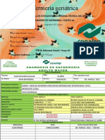 Anamnesis Del Adulto Mayor