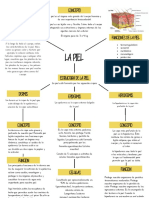 La piel: estructura y funciones de sus capas