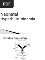 Neonatal Hyperbilirubinemia