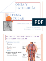 2 Anatomía Fisiología Del Sistema Vascular