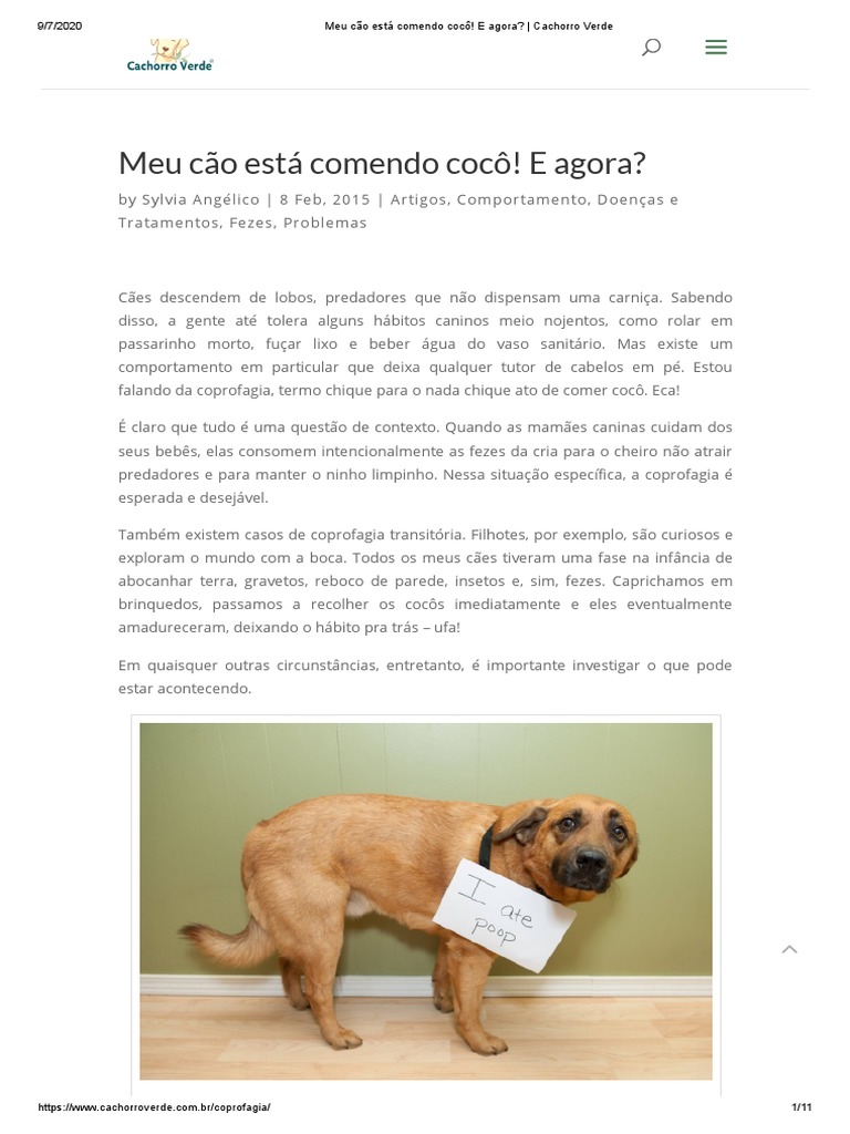 8,944 Fotos de Stock de Vermes Brancos - Fotos de Stock Gratuitas e Sem  Fidelização a partir da Dreamstime, image size:768x1024