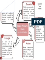 Biología Molecular y Otras Ciencias