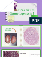 Praktikum Gametogenesis 1 2021