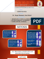 Expo Mitosis