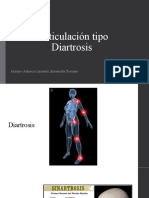 Articulación Tipo Diartrosis