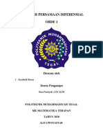 Makalah Persamaan Diferensial