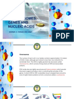 Chromosomes, Genes and Nucleic Acids