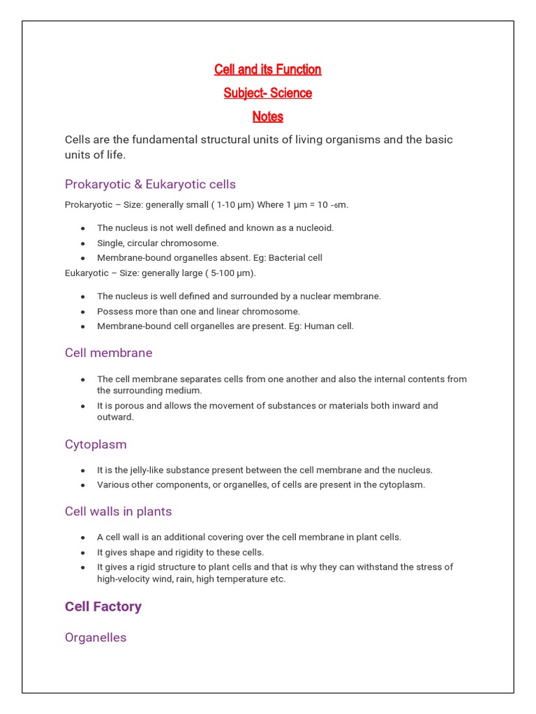 Cell And Its Function Class 8 Notes Pdf Cell Biology