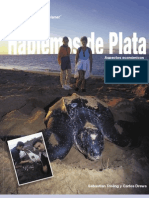 Hablemos de Plata: Aspectos Económicos Del Uso y Conservación de Las Tortugas Marinas