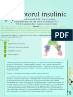 receptorul insulinic