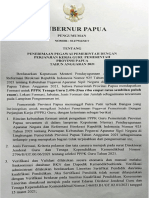 Pengumuman PPPK Prov Papua 2021