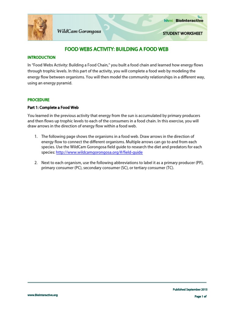Gorongosa Food Web and Energy Pyramid | PDF | Food Web | Biogeochemistry