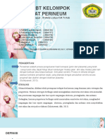 Pregnant Woman PowerPoint Templates