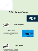 Celtic Springs Scuba