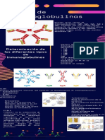 Tipos de Inmunoglobulinas