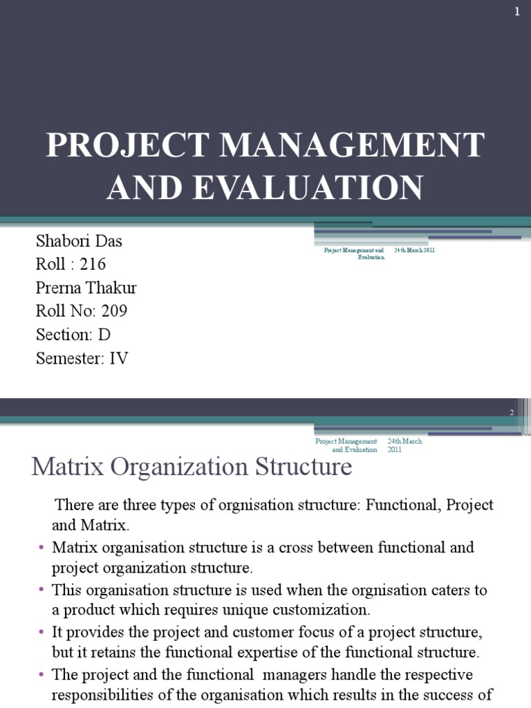 Matrix vs Project Organization Structures | PDF | Project Management ...