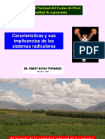 1-2. Caracteristicas y Sus Implicancias de Los Sistemas Radiculares