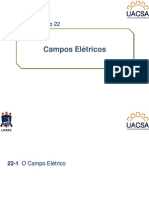 Cap. 22. Campos Elétricos 